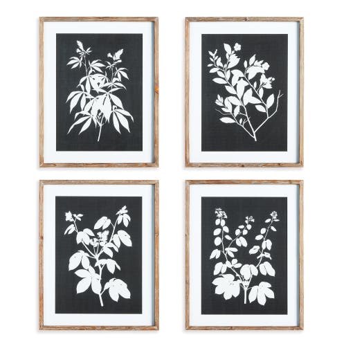 Napa Home & Garden Monochrome Botanical Prints Set Of 4 In Black
