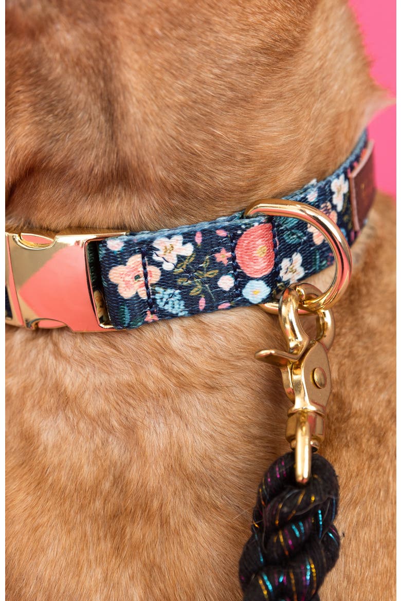 Riley Dog Collar, Alternate, color, Riley