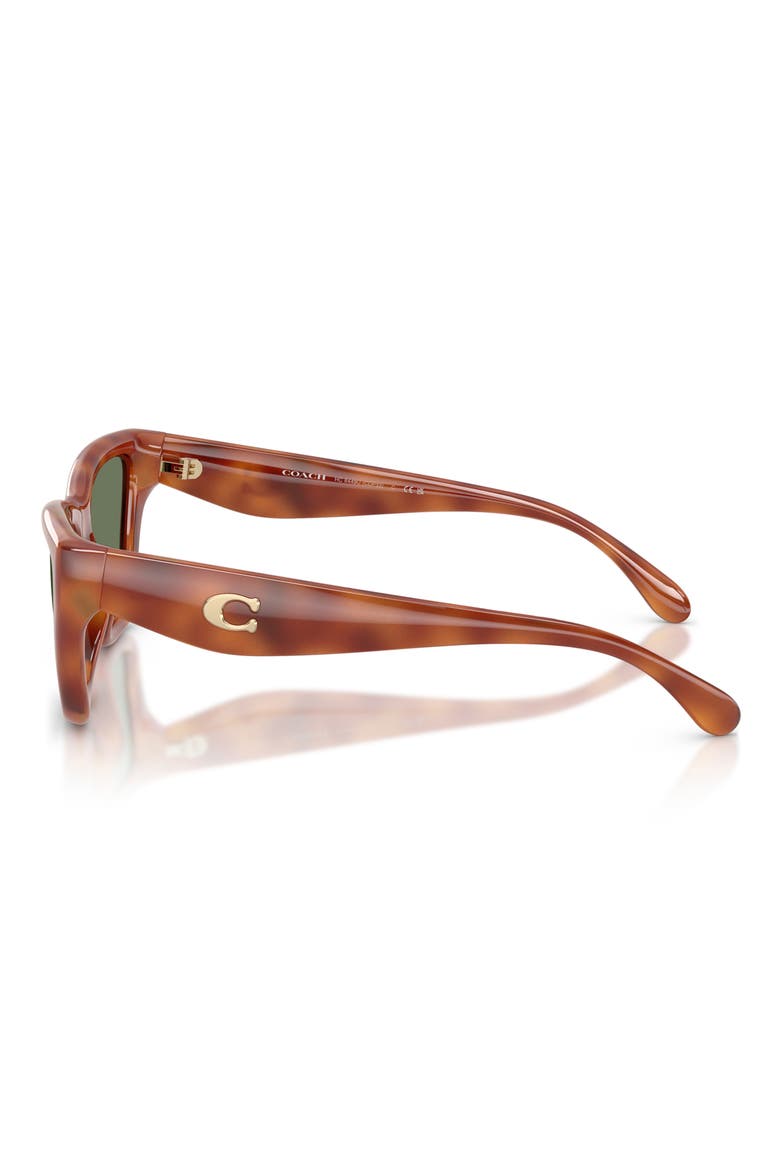 56mm Cat Eye Sunglasses, Alternate, color, CARAMEL TORTOISE / GREEN SOLID