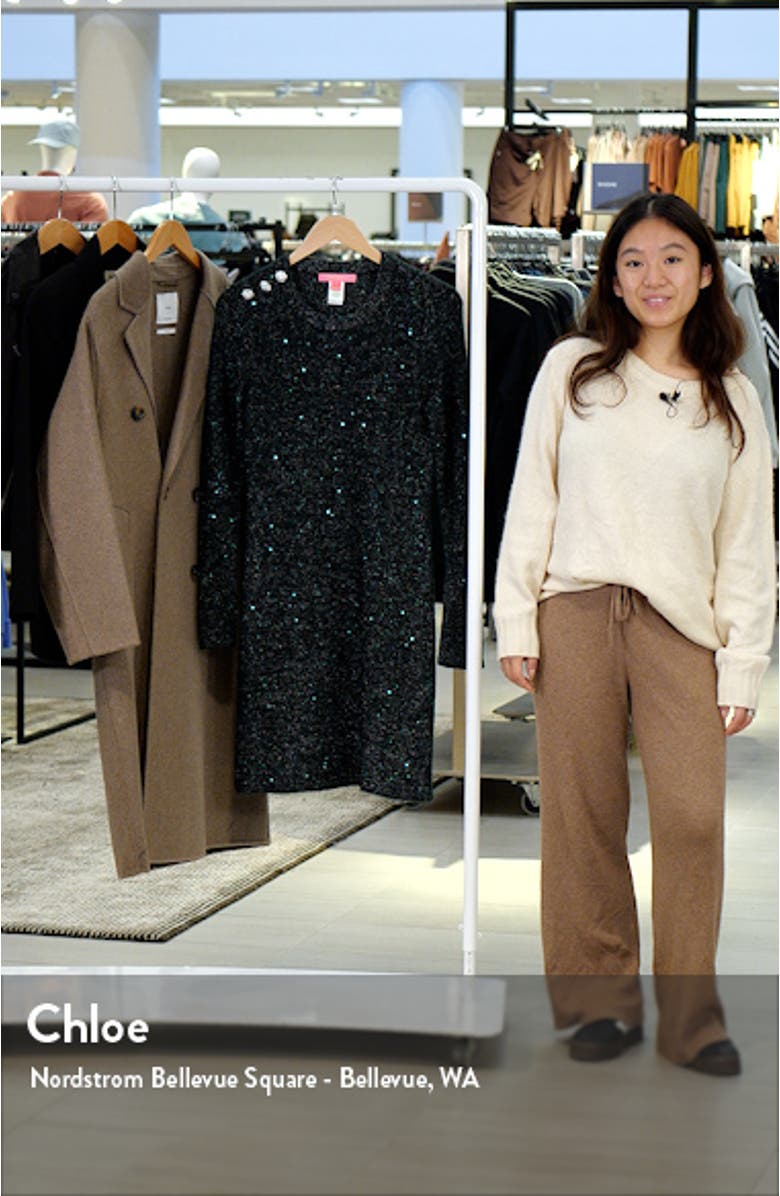 Morgen Long Sleeve Sparkle Knit Sweater Dress, sales video thumbnail