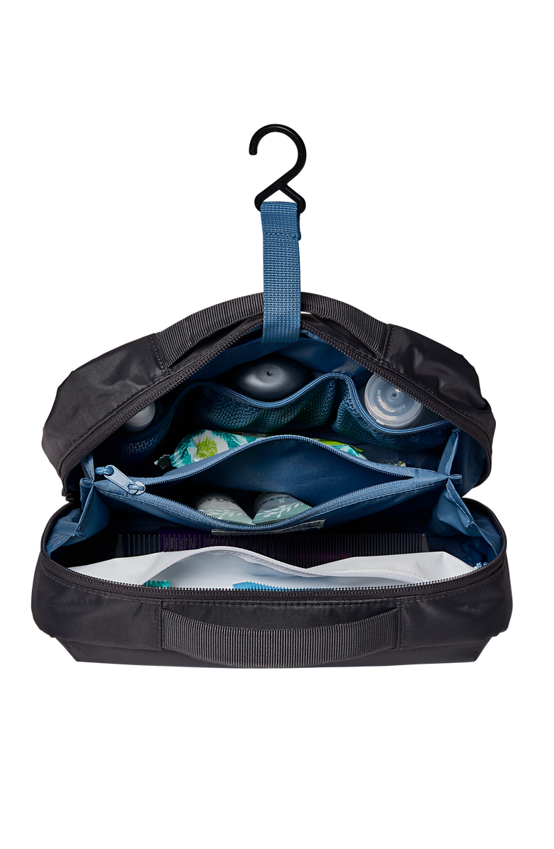 Jansport Good Latitude Toiletry Bag, Alternate, color, Smokey Grit