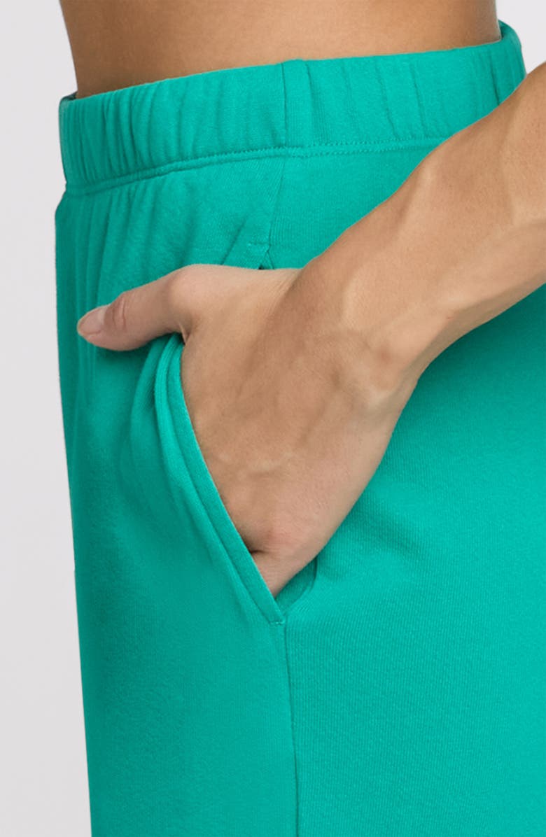 The Standard Stitch The Sweatpant, Alternate, color, Peacock