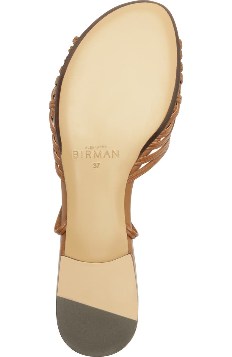 Alexandre Birman Lilian Woven Flat Ankle Strap Sandal, Alternate, color, Espresso