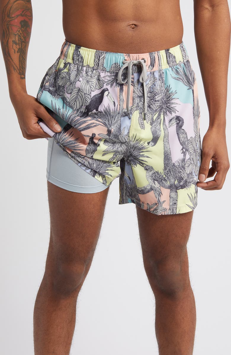 SAXX Oh Buoy Stripe 2-in-1 Hybrid Shorts, Alternate, color,