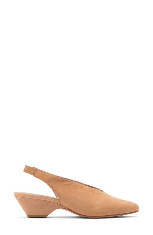 Eileen Fisher Gatwick Slingback Pump In Latte