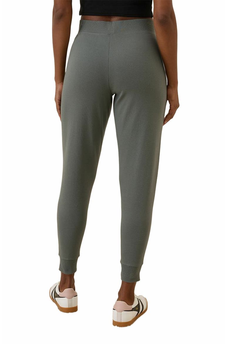 Everyday Airplane Joggers, Alternate, color, Castor Grey