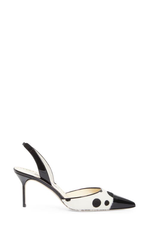 Manolo Blahnik Capsli Pointed Toe Slingback Pump