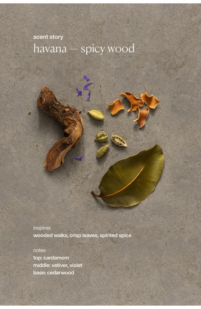 evolvetogether Hydrating Hand Cream, Alternate, color, Havana