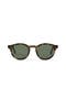 selected Green / Tortoise