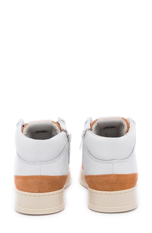 P448 Balihir Mid Top Sneaker In White