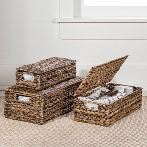 Sandrine Classic Farmhouse Handwoven Hyacinth Storage Baskets with Handles and Lids, (Set of 3)