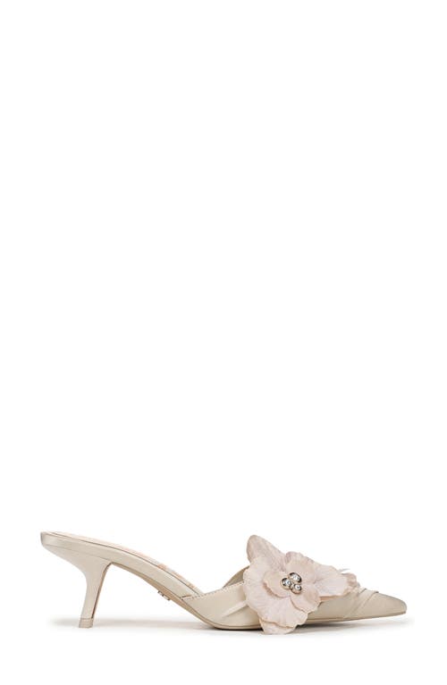 Sam Edelman Bella Pointed Toe Kitten Heel Pump In Modern Ivory