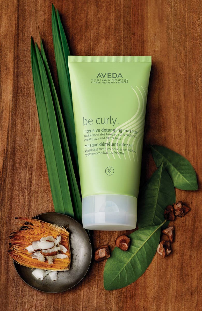 Aveda be curly<sup>™</sup> Intensive Detangling Masque, Alternate, color,