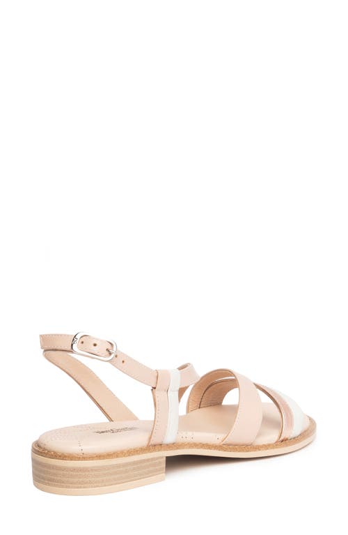 Nerogiardini Strappy Leather Sandals In Rose Multi