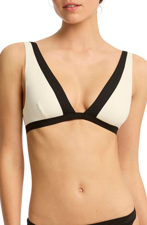 Sea Level Border Plunge Bikini Top In Coconut