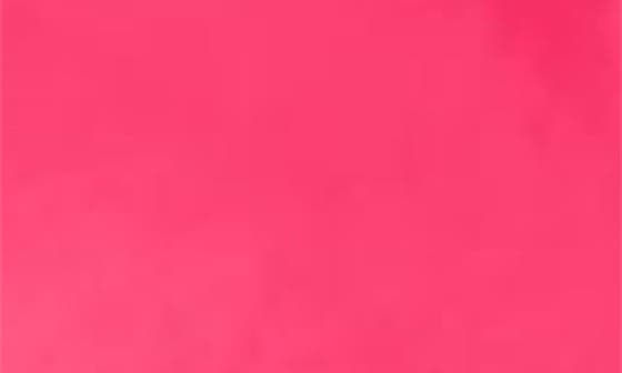 I DONT GIVE A FUCHSIA