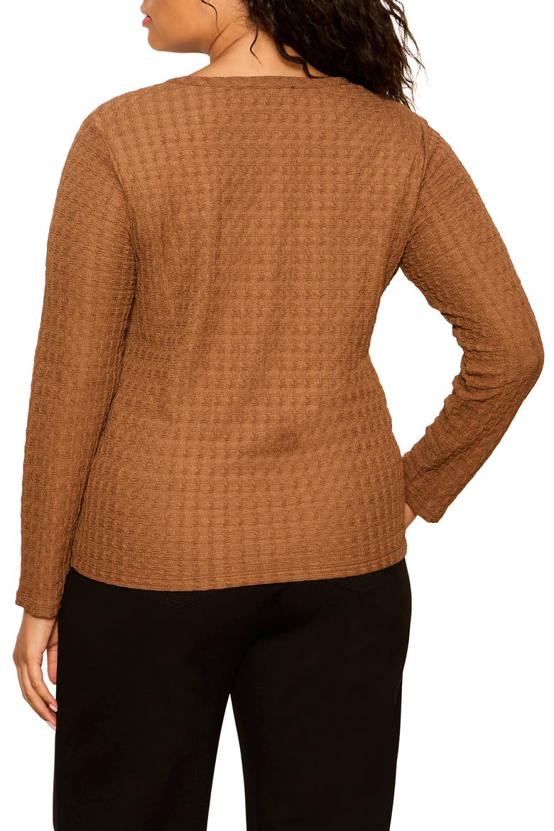 Not So Basic Textured Henley Top, Alternate, color, COCOA POWDER BROWN