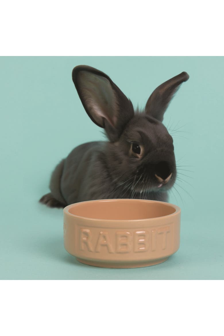 Cane Rabbit Bowl, 5.2 Inches, 13.5oz, Feeding Dish, Alternate, color, Brown