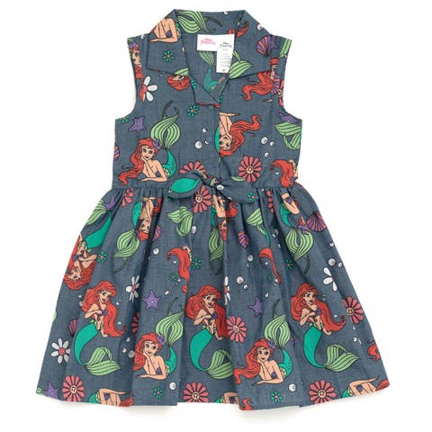 Princess Chambray Dress