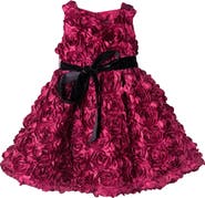 JOE-ELLA Kids' Rosette Velvet Sash Dress