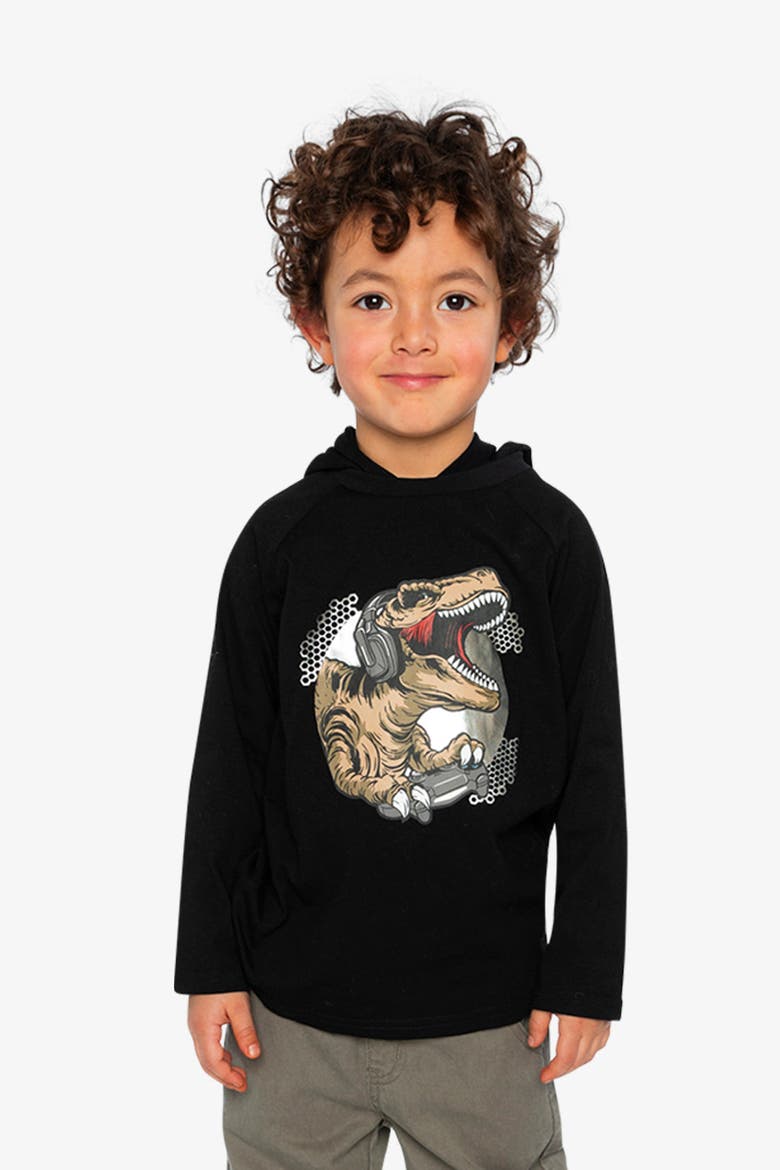 Raglan Hooded Graphic T-Shirt, Alternate, color, Black and Brown
