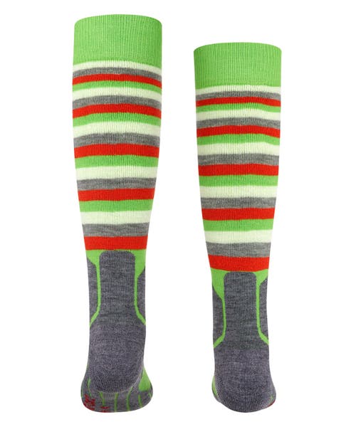 Falke Sk2 Intermediate Stripes Ski Socks In Green