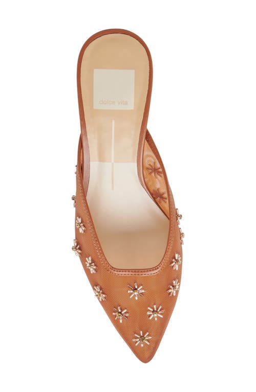 Dolce Vita Clara Kitten Heel Pointed Toe Pump In Saddle