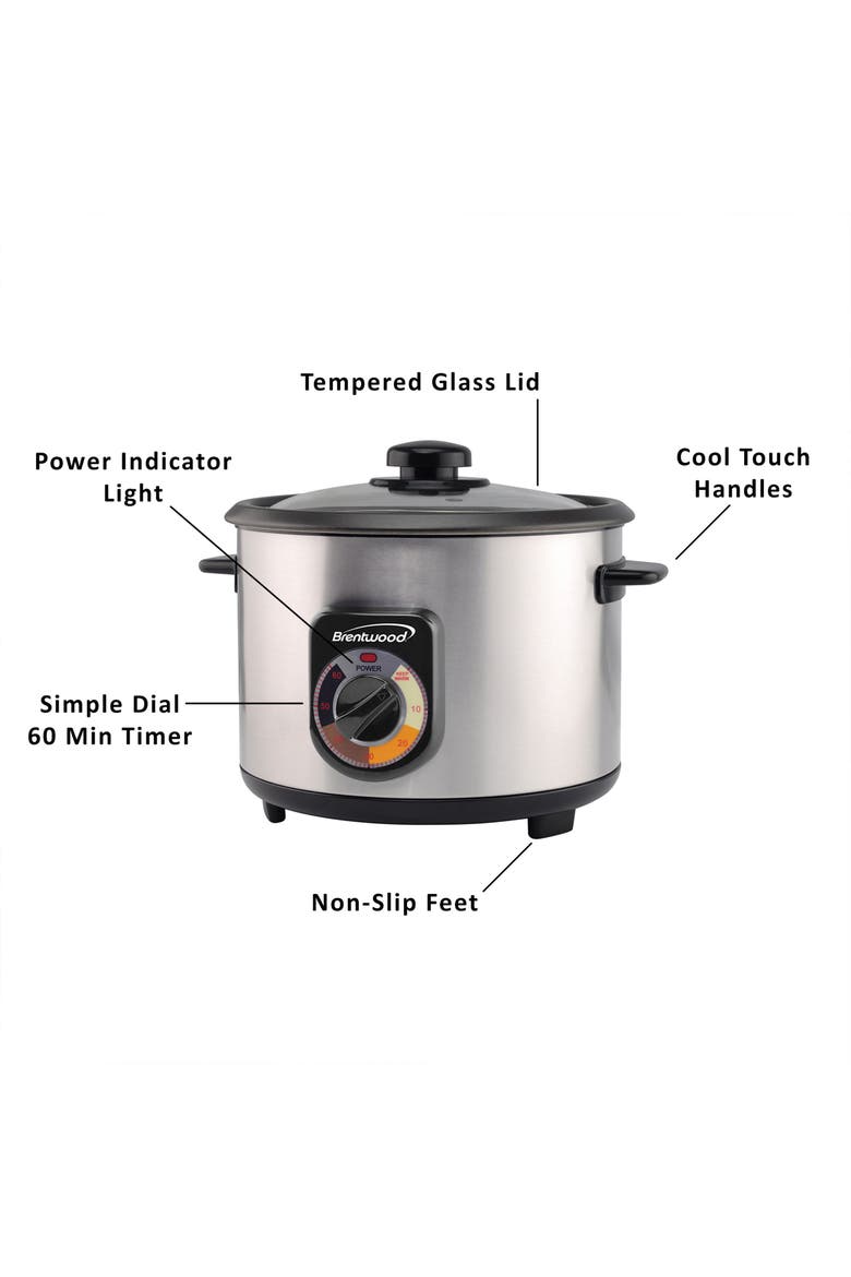10-Cup Stainless Steel Crunchy Persian Rice Cooker, Alternate, color, Silver