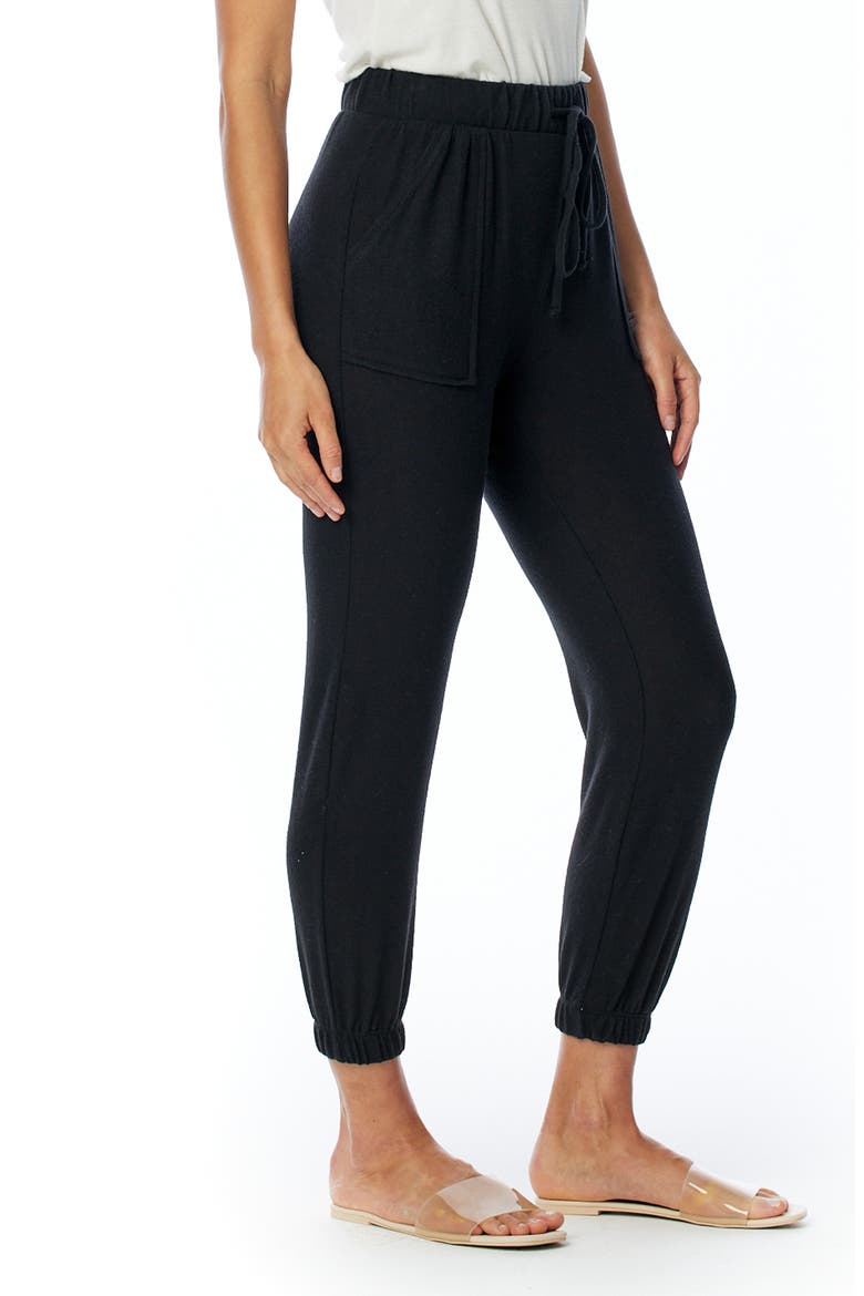 Erza Cozy Jogger Pants, Alternate, color, BLACK