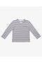 selected Navy Stripe