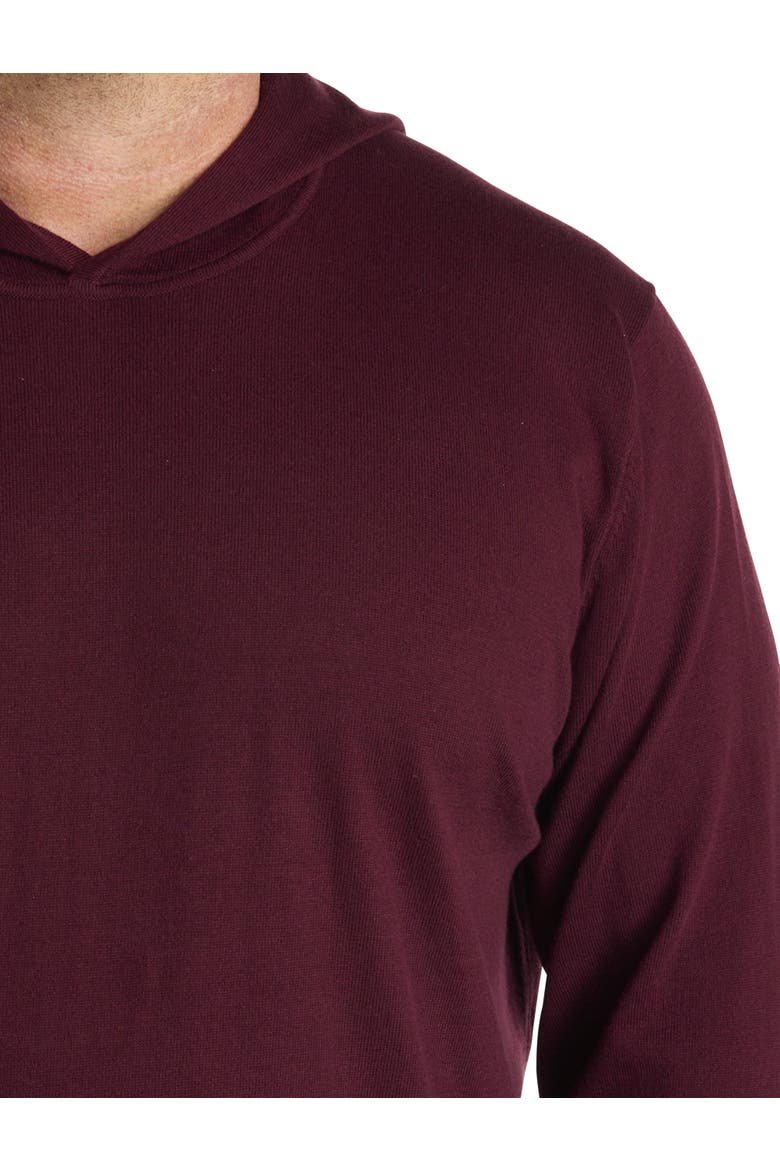 Big & Tall Lightweight Performance Hoodie, Alternate, color, PORT ROYALE
