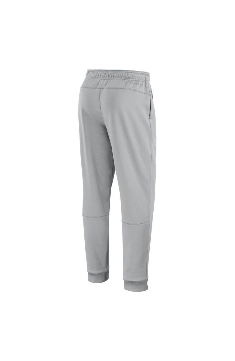 Nike Men's Nike Gray Cleveland Browns Sideline Logo Performance Pants, Alternate, color,