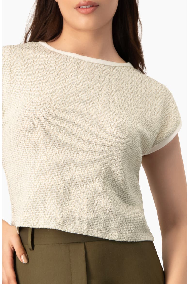 Textured Cap Sleeve Boat Neck Knit Cropped Top, Alternate, color, Gold