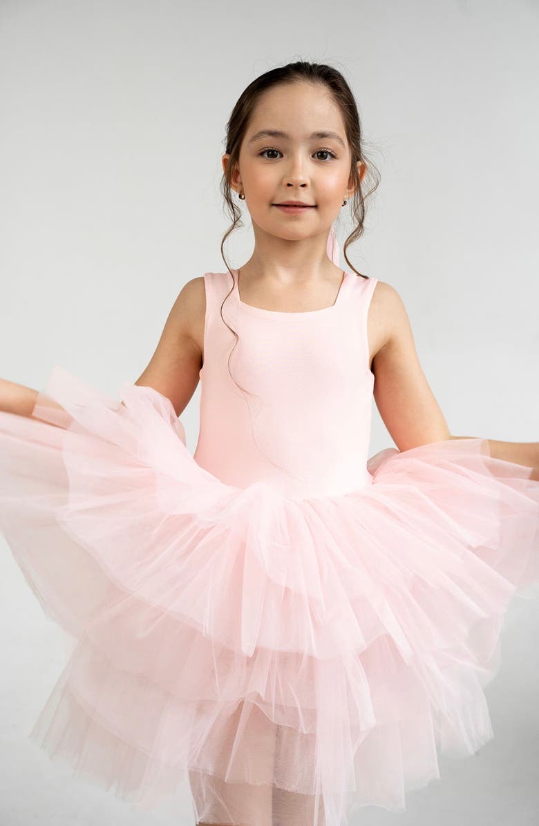 Mini Celebrities Roses Sleeveless Fluffy Tutu Dress, Alternate, color, Pink Rose