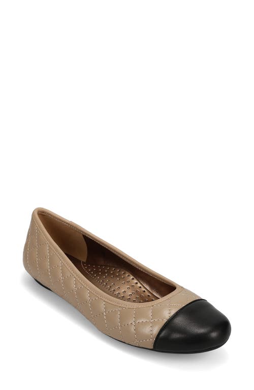 VANELi 'Serene' Flat in Pudding/Black Leather  product