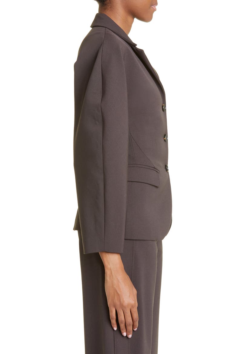 Aden Single Breasted Blazer, Alternate, color, MAROON