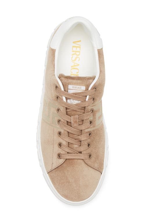 Versace Greca Suede Low Top Sneaker In Gold