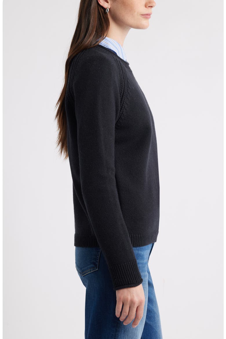 Raglan Sleeve Roll Neck Wool & Cotton Sweater, Alternate, color, BLACK