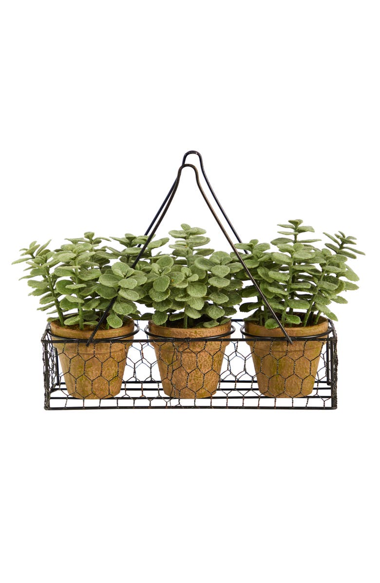 NEARLY NATURAL 7-in Mini Jade Garden Artificial Plant in Hanging Planter, Main, color, Green