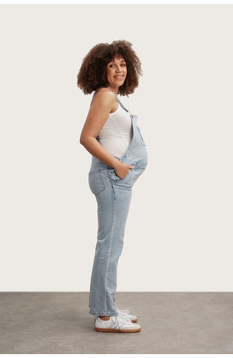 Nom Maternity Mae Maternity & Nursing Overalls, Alternate, color, 