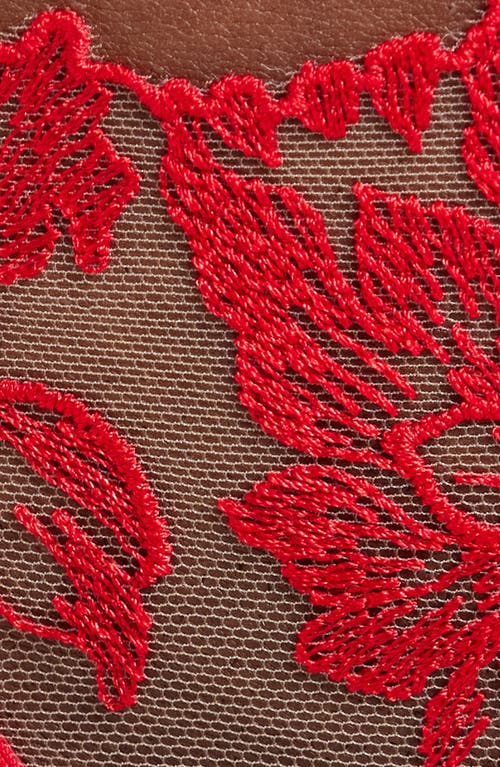 Bluebella Samara Thong In Red/sheer