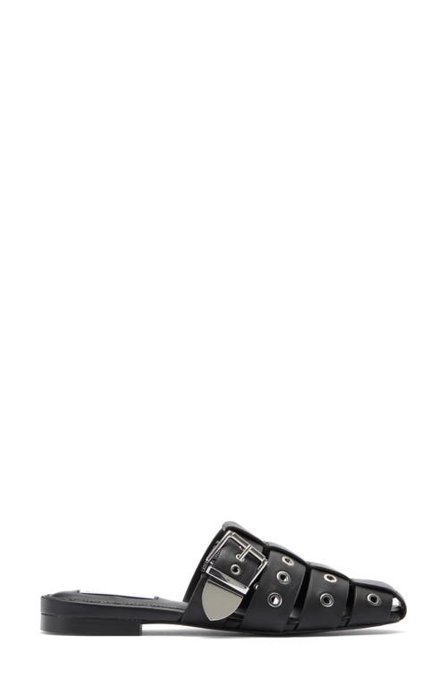 Steve Madden Ladera Mule In Black Leather