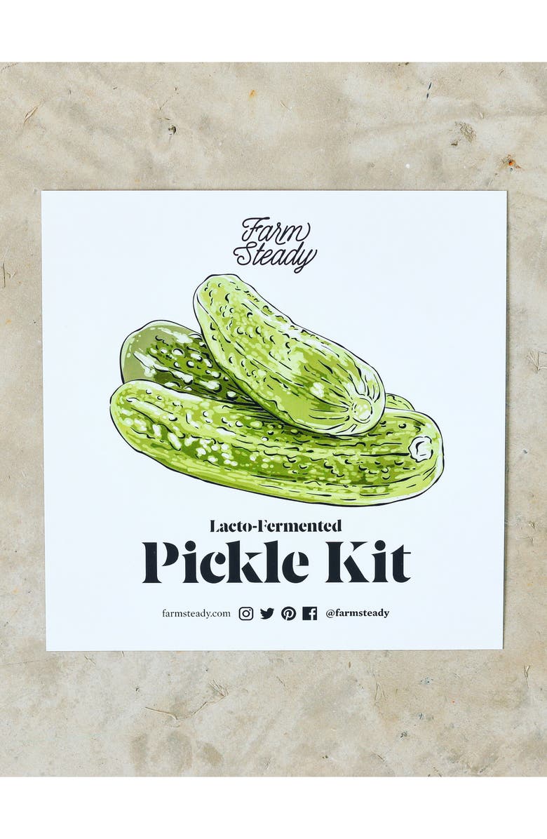 Brooklyn Brew Shop Pickle Kit, Alternate, color,