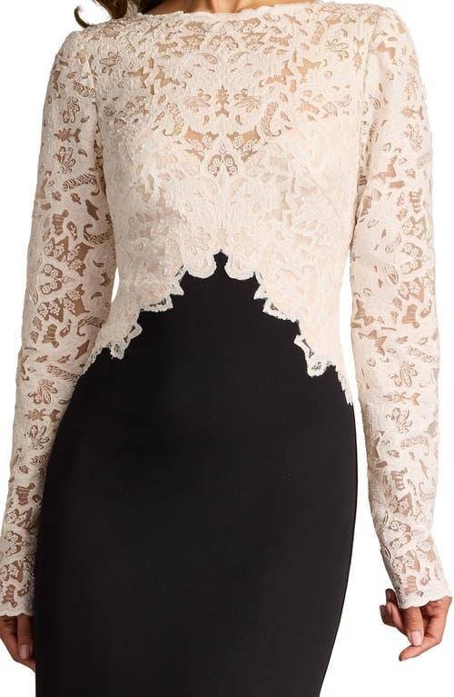 Tadashi Shoji Textured Crepe And Tulle Gown In Ivory/black