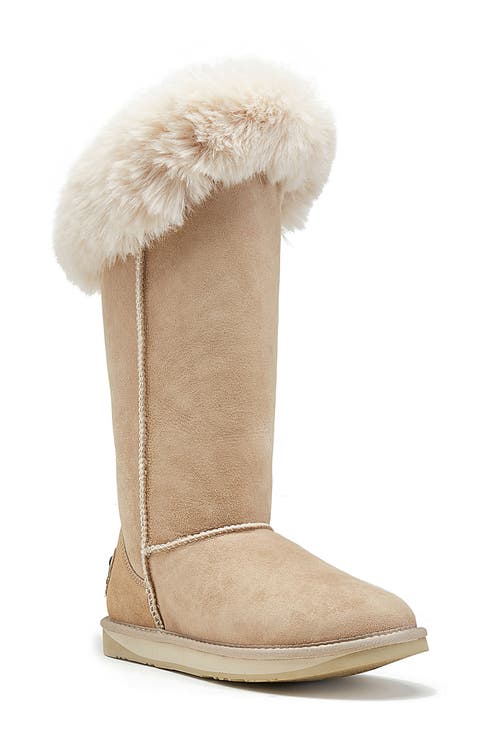 Foxy Genuine Shearling Lined Boot (Women)