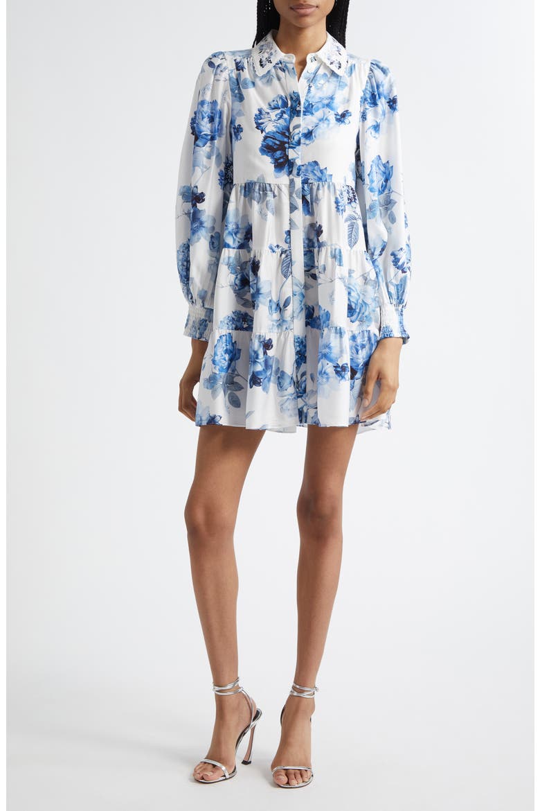 Junia Embroidered Collar Long Sleeve Minidress, Main, color, AFFECTION SMALL
