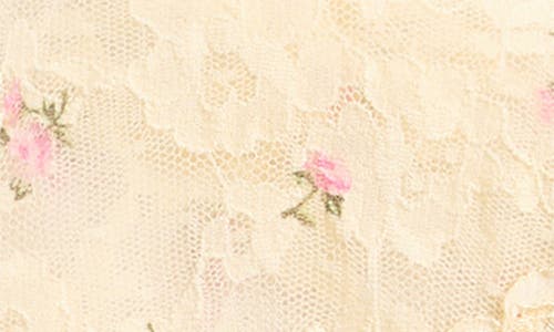 Skims Stretch Lace Briefs In Butter Rosebud Print