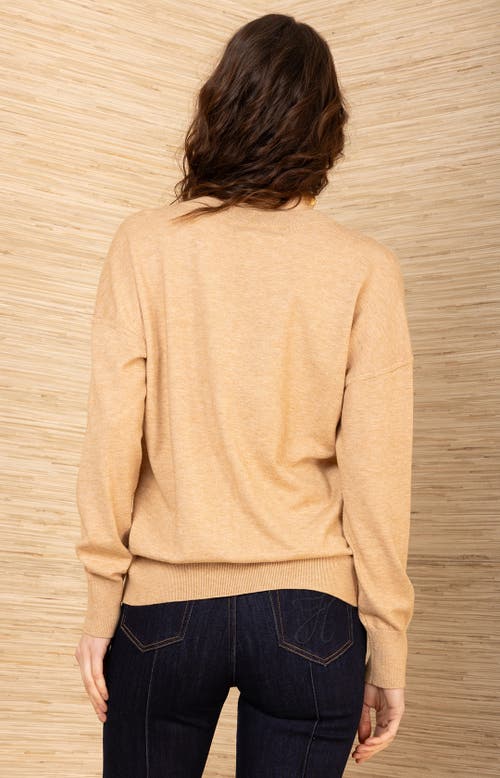 Hale Bob Stormi Silk Top In Brown