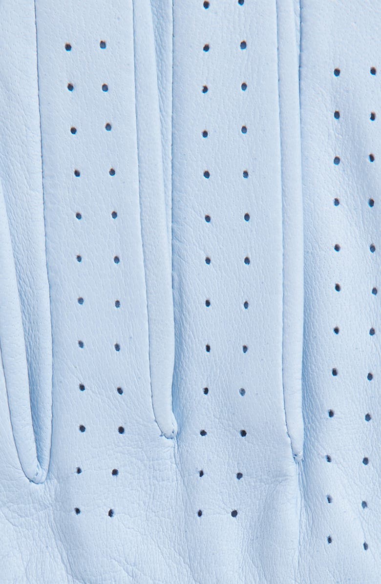 adidas Originals Perforated Leather Golf Gloves, Alternate, color, Clear Sky