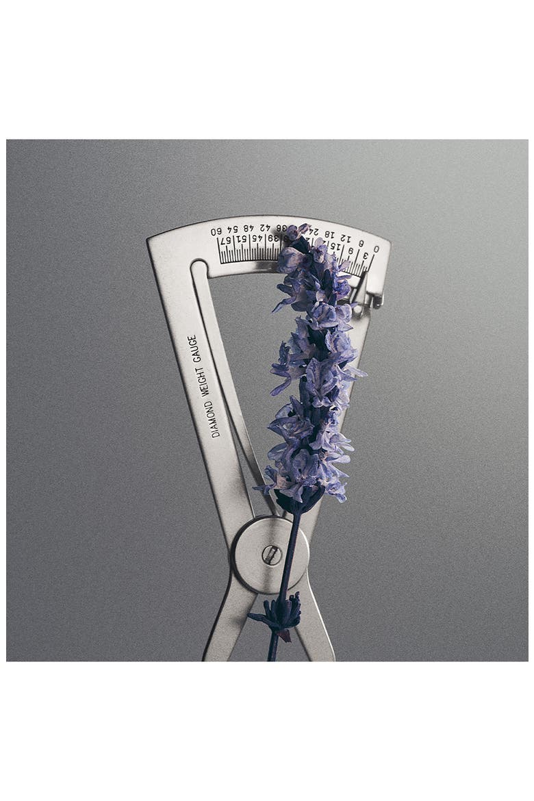 Iris Debonair Eau de Parfum, Alternate, color, NO COLOR